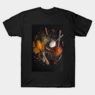 Various spices spoons T-Shirt